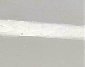 紫禁城漆業(yè) 實(shí)現(xiàn)鋼結(jié)構(gòu)重防腐涂料水性化