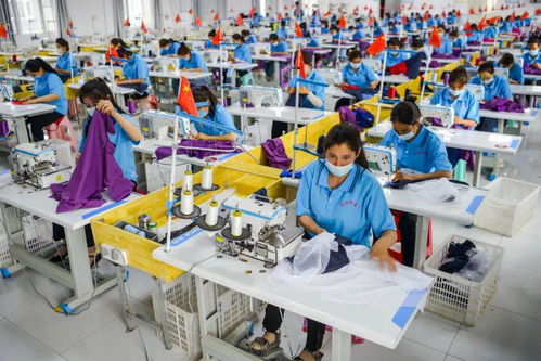 早間教育資訊 2020年9月18日教育咨詢服務(wù)動(dòng)態(tài)觀察