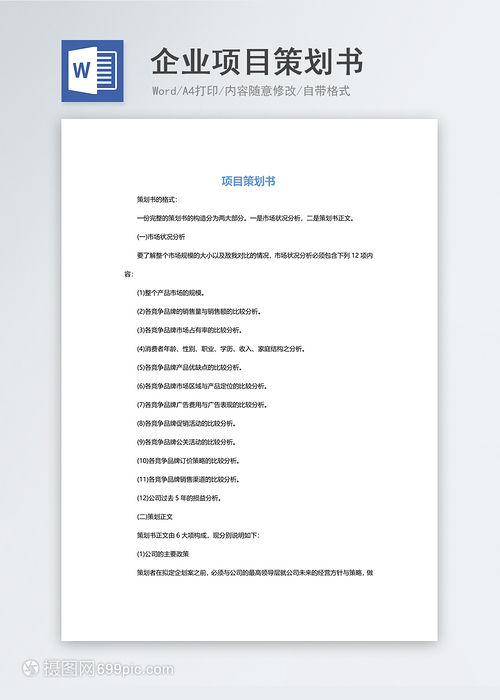 企業(yè)項(xiàng)目策劃書與創(chuàng)業(yè)計(jì)劃書 核心模板與高效撰寫指南